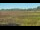 Webcam in Les Landes-Genusson, 0 km