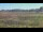 Webcam in Les Landes-Genusson, 0 mi away