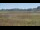 Webcam in Les Landes-Genusson, 5.7 km