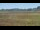 Webcam in Les Landes-Genusson, 5.7 km