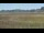 Webcam in Les Landes-Genusson, 0 km