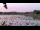 Webcam in Les Landes-Genusson, 0 km