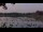 Webcam in Les Landes-Genusson, 0 km