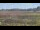 Webcam in Les Landes-Genusson, 67.9 km