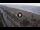 Webcam in Senigallia, 22.8 km