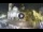 Webcam in Ragusa Ibla, 29.3 km entfernt