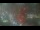 Webcam in Houston, Texas, 265.2 km