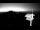 Webcam in Veprinac, 2.4 km