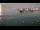 Webcam in Ičići, 2.9 km