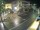 Webcam in Opatija, 4.5 mi away