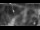 Webcam in Bütgenbach, 25.2 km