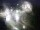 Webcam in Kingisepp, 159.4 mi away