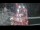 Webcam sulla Malik Arctica, 754.8 km