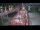 Webcam sulla Malik Arctica, 80.2 km