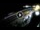 Webcam in Cabarete, 98.5 mi away
