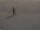 Webcam in Kärdla, 45.9 km