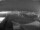 Webcam in Pinarella di Cervia, 0.2 mi away