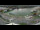 Webcam in Linz, 4 mi away