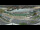 Webcam in Linz, 1.2 mi away