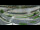 Webcam in Linz, 10 mi away