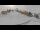 Webcam in St. Valentin auf der Haide, 0.9 mi away