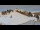 Webcam in St. Valentin auf der Haide, 17.7 km