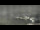 Webcam in Bregenz, 2.5 mi away