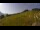 Webcam in Sonnleitn, 10.8 km