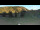 Webcam in Lofer, 7.5 km entfernt