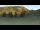 Webcam in Lofer, 3.7 km entfernt