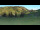 Webcam in Lofer, 3.7 km