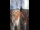 Webcam in Graz, 8.5 km