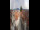 Webcam in Graz, 9.1 km
