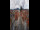 Webcam in Graz, 0.5 km