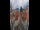 Webcam in Graz, 0.1 mi away