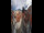 Webcam in Graz, 0.1 km