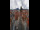 Webcam in Graz, 7.3 mi away
