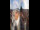 Webcam in Graz, 12.3 km entfernt