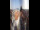 Webcam in Graz, 14.4 km
