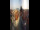 Webcam in Graz, 8.5 km