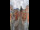 Webcam in Graz, 8 km