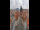 Webcam in Graz, 0.1 km