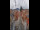 Webcam in Graz, 13.6 km