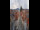 Webcam in Graz, 10.2 mi away