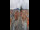 Webcam in Graz, 0.5 km