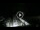 Webcam in Lido di Ostia, 13.7 mi away