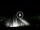 Webcam in Lido di Ostia, 13.7 mi away