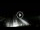 Webcam in Lido di Ostia, 16.8 mi away