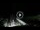Webcam in Lido di Ostia, 15.8 km