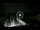 Webcam in Lido d'Ostie, 8.5 km
